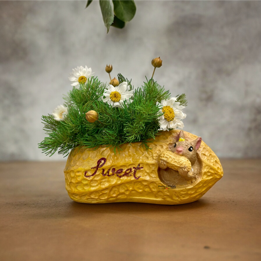 Crunchy Peanut: Dried and Preserved flower arrangement