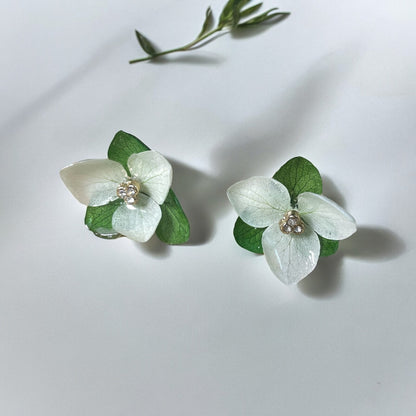 Anna studs: Real & preserved hydrangea flower earrings