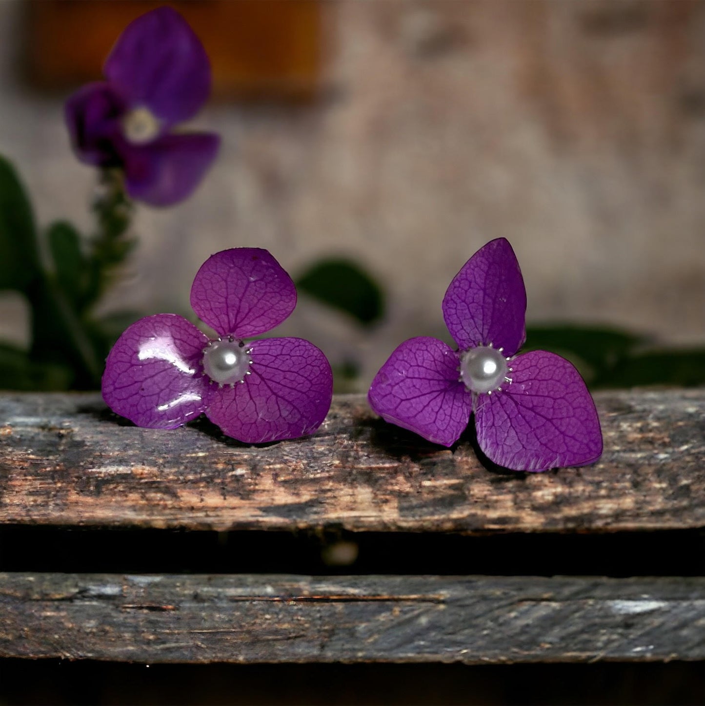 Bella studs: Real Preserved hydrangea flower earrings